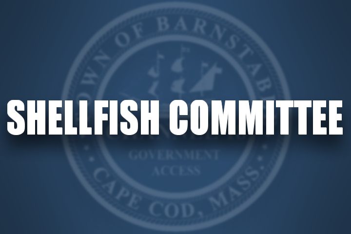 Thumbnail image for Shellfish Committee 03-21-2019