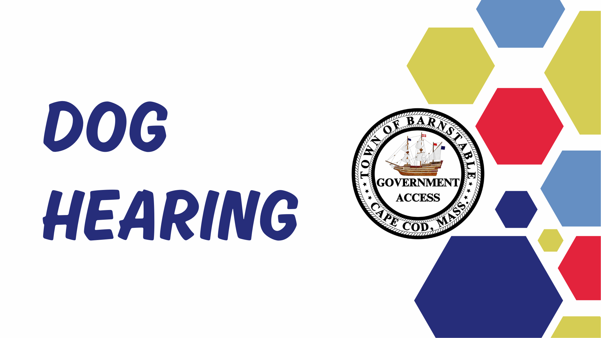 Dog Hearing Lima vs Navickas