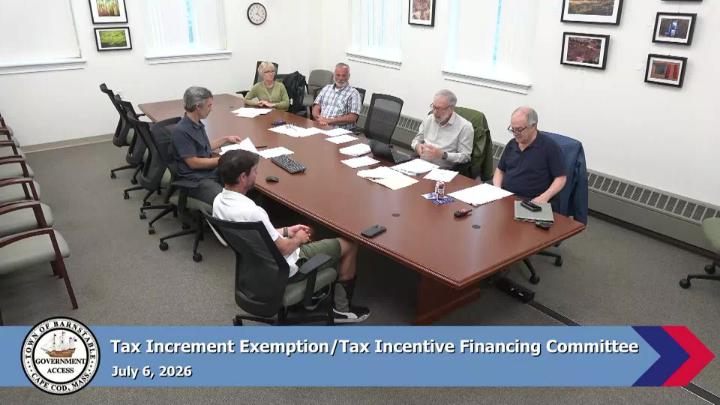 Thumbnail image for Tax Increment Exemption/Tax Incentive Financing Committee