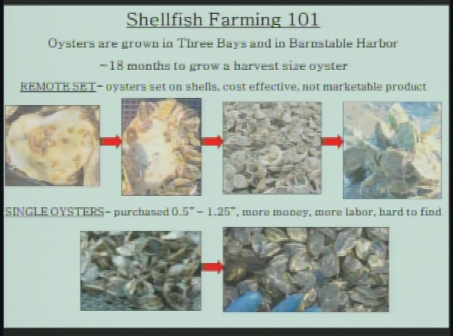 Thumbnail image for Town Council 02-02-2017